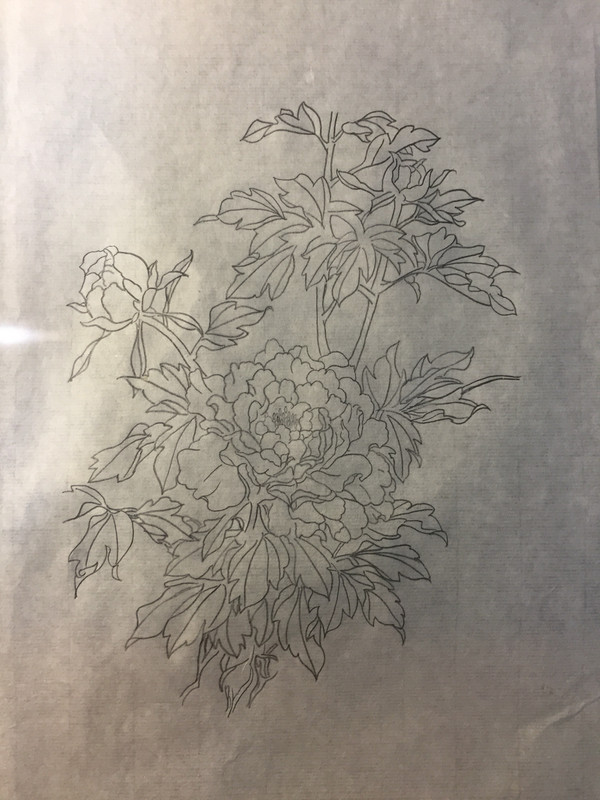 铅笔手绘练习