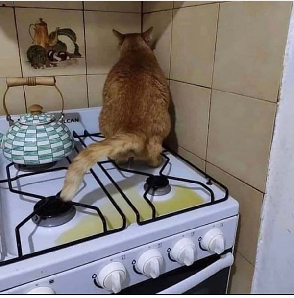 piss on da sink