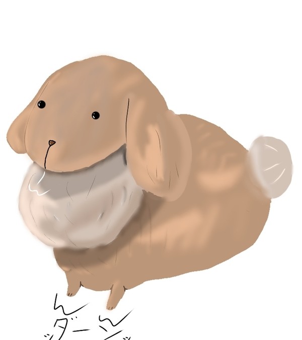 うさぎ