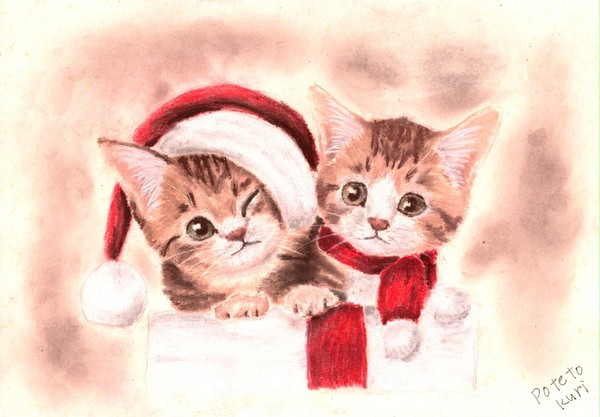 子猫たちのクリスマス