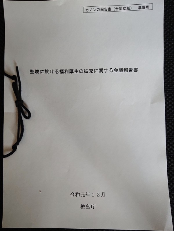 【12/01 パラダイス銀河29】新刊『カノンの報告書』サンプル