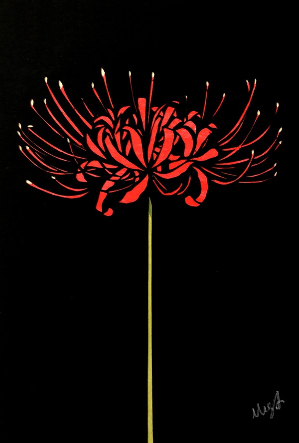 彼岸花