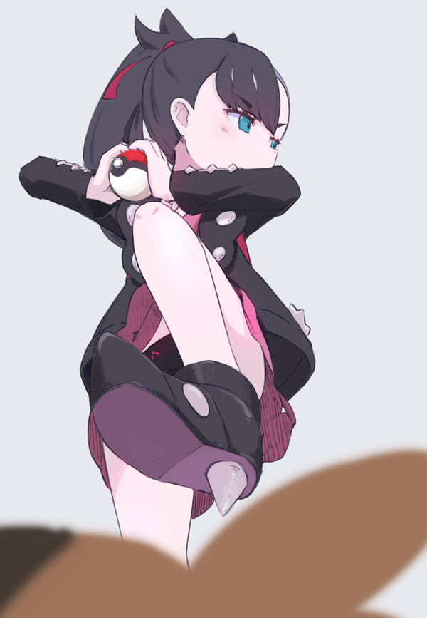 モルペコ