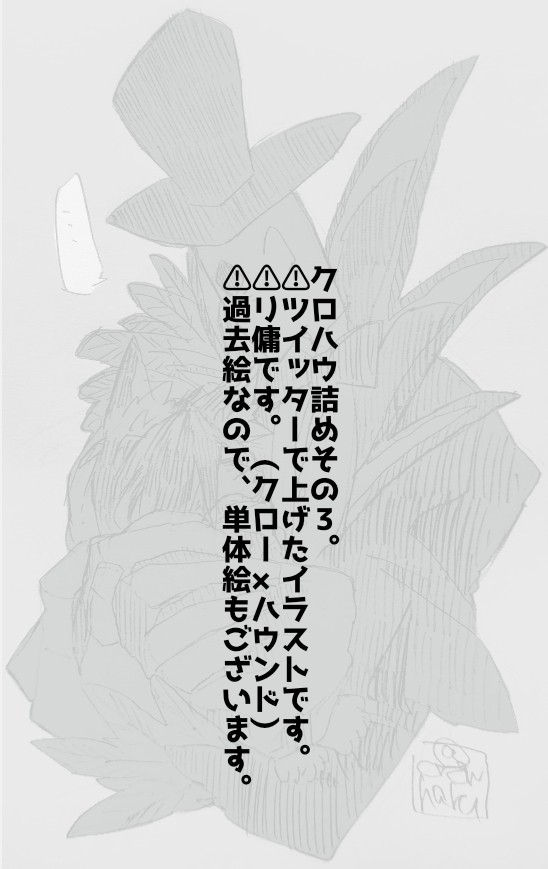 クロハウ詰めその3