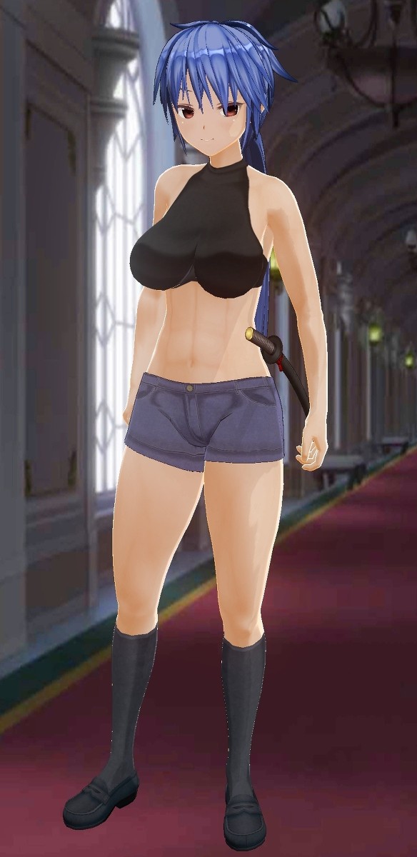 天崎涼子っぽいの作ってみたり妹の方修正したりうちの子と妖夢修正？