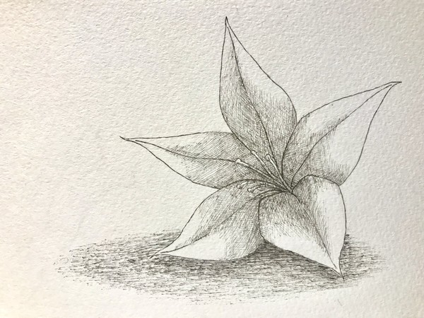 月の涙