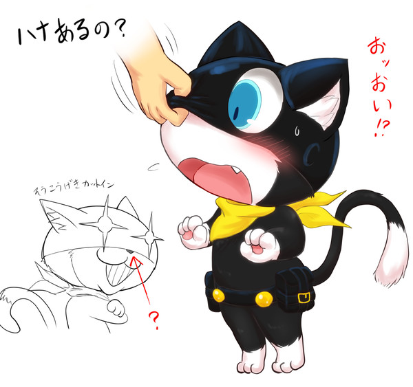 気になるアレ