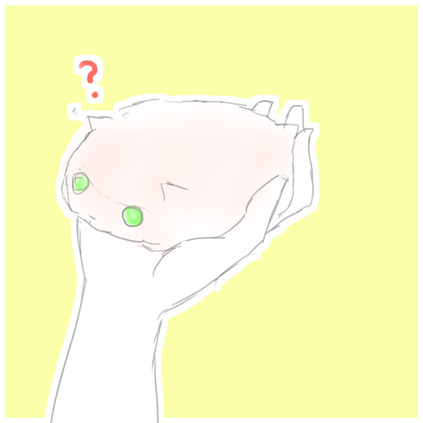 ぽめまとめ