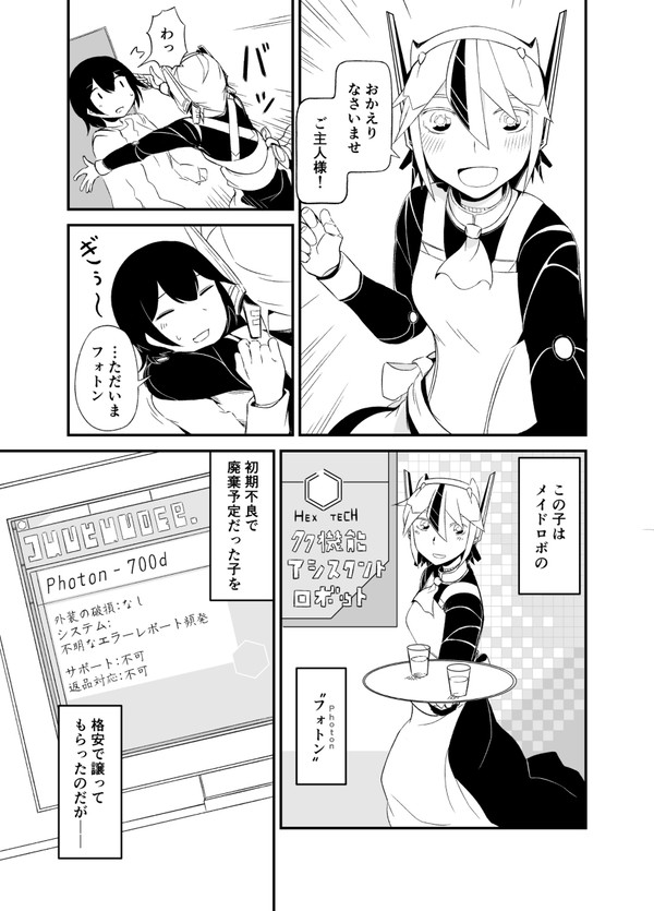 システムに重大な欠陥のあるロボメイド