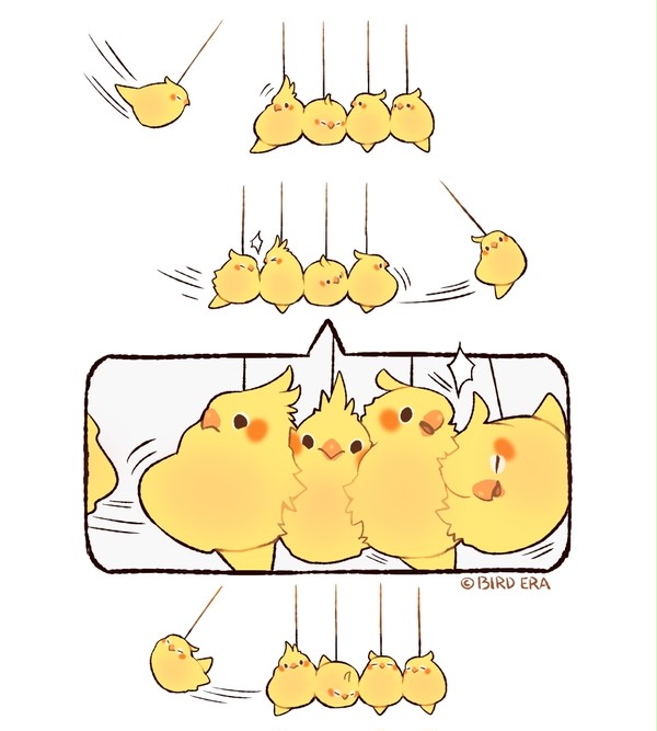 Newton's Cockatiel Cradle