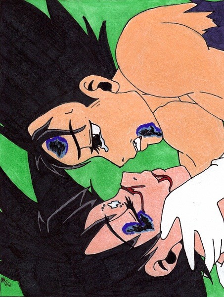 DBZ Love Stuff