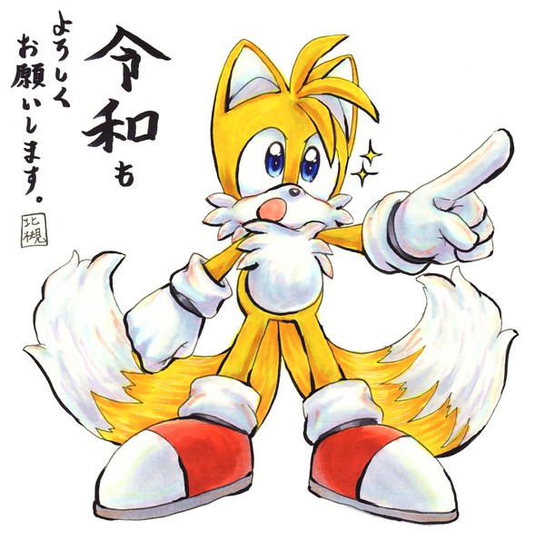 テイルス詰め