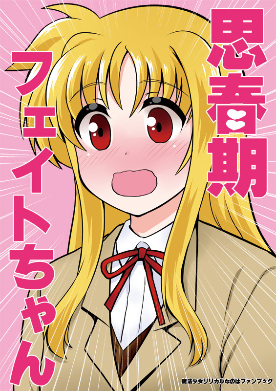 C97新刊リリカルなのは本 表紙&サンプル