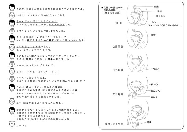 性別が変わる時に体の中で起きている変化