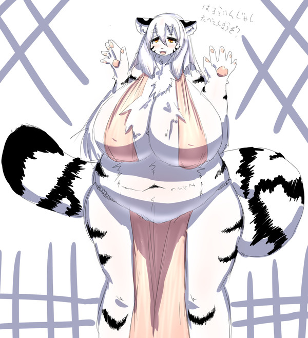 虎まとめ2019