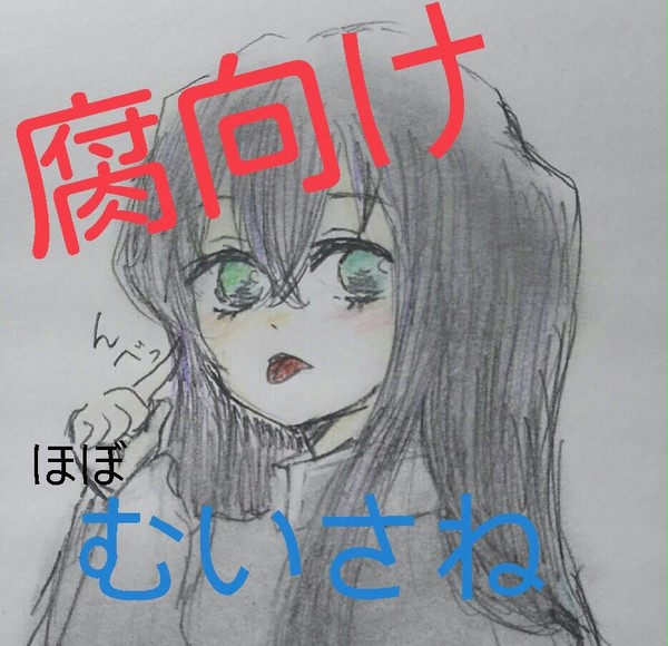 ほぼむいさねは嘘でした…