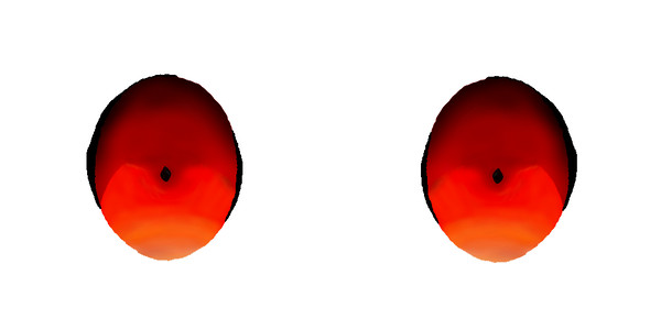first digital eyes (magma)