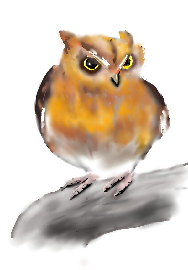 コノハズクを描いてみました