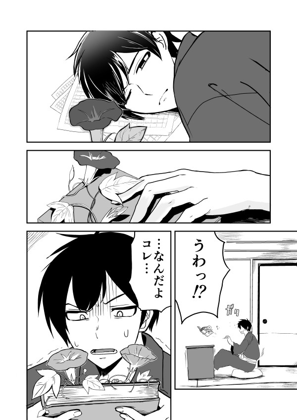 朝顔