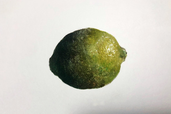 一颗柠檬🍋
