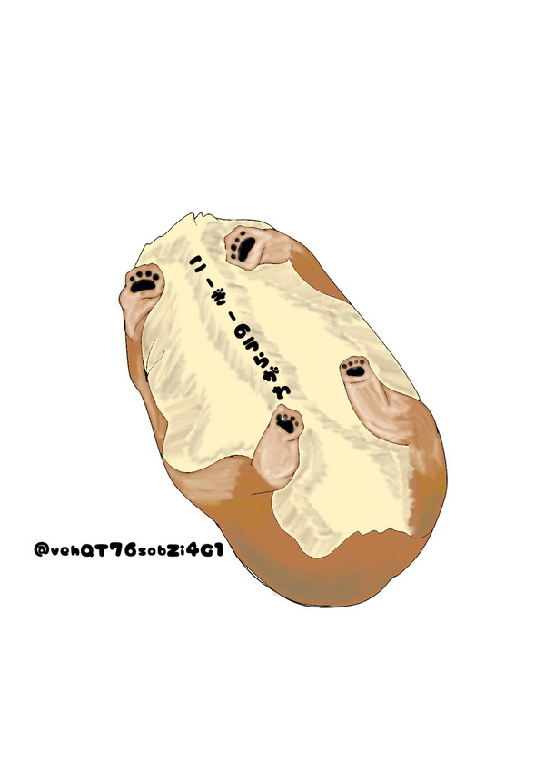 こーぎーのうらがわ