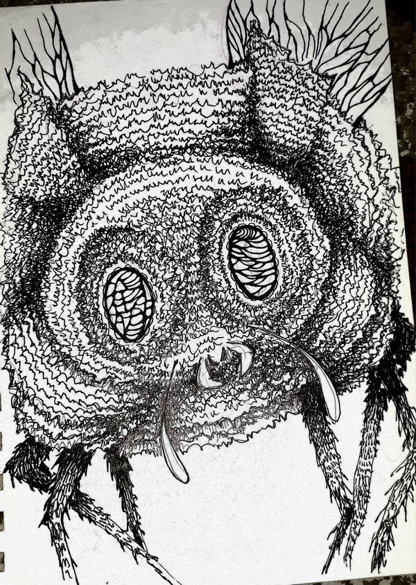 bug
