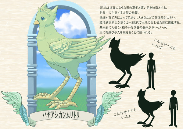 【PFAOS】ハヤアシカンムリトリ