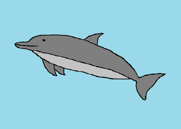 海豚