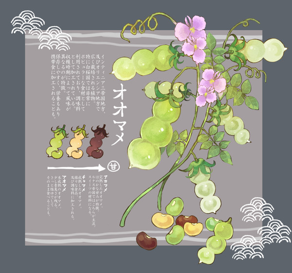 【PFAOS】オオマメ