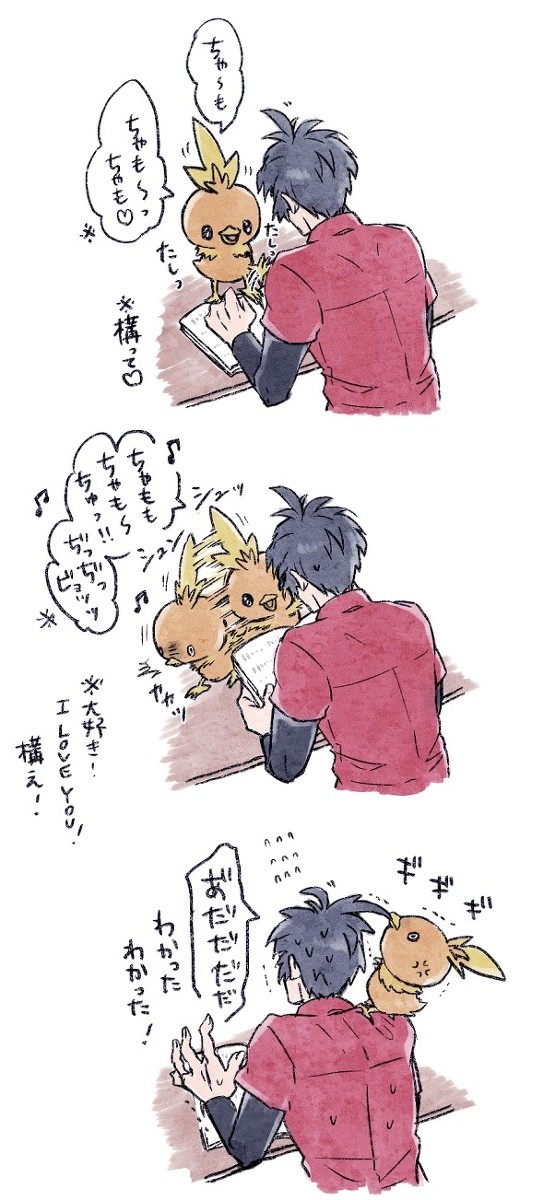 カブさんとアチャモくん2