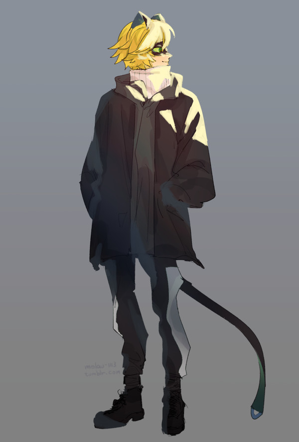 Model Chat Noir!