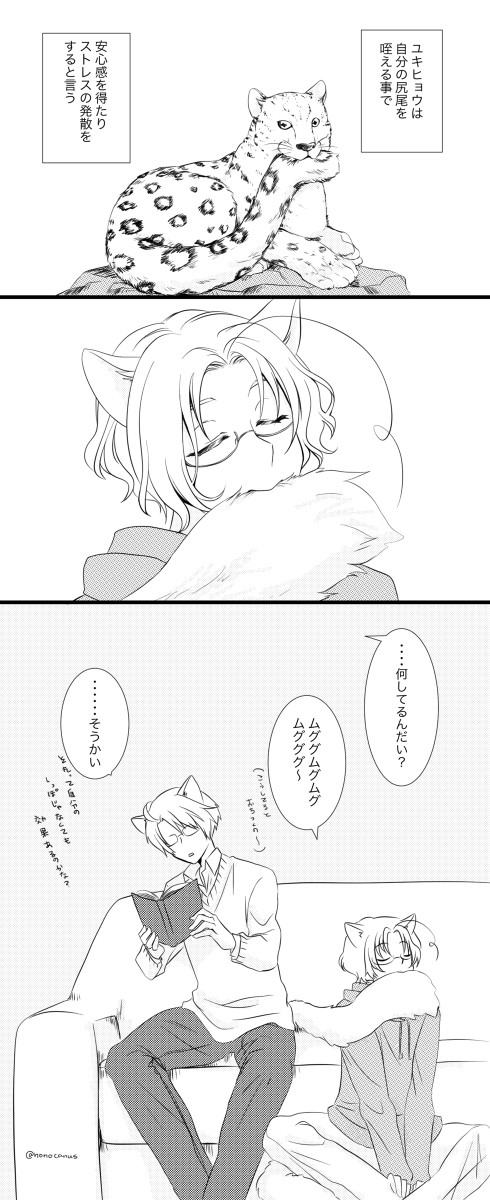 【かごめ産】落ち着くの