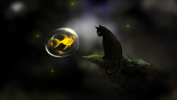 cat