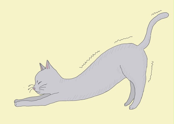 今起きた。