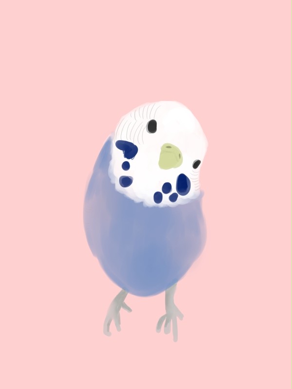 虎皮
