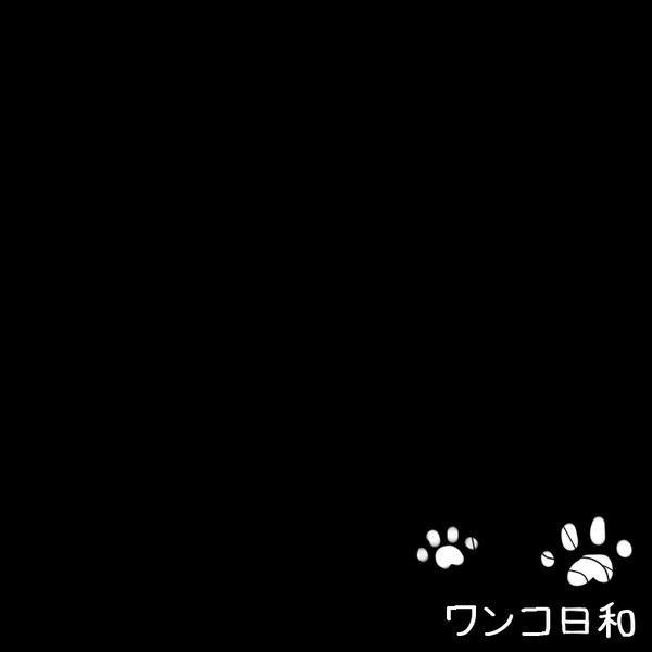 【PFAOS】こっそり、しー…【浮遊石の遺跡】