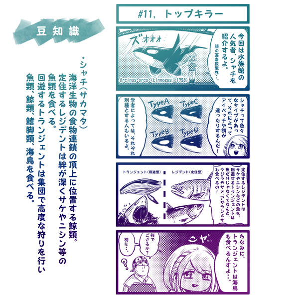#11．トップキラー