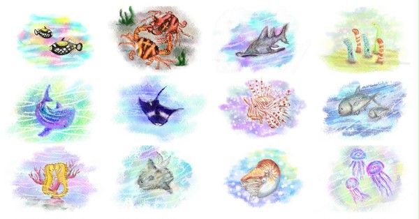 うみの生物