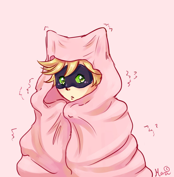 子猫