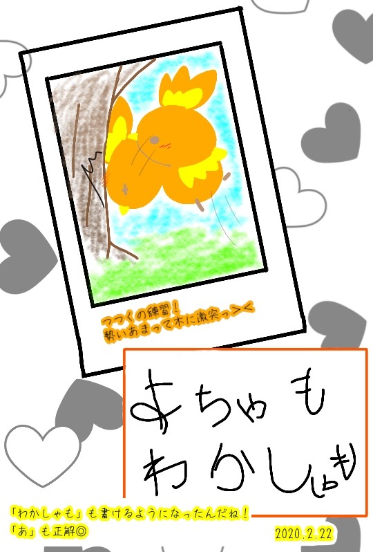 わかしゃも。つつく。