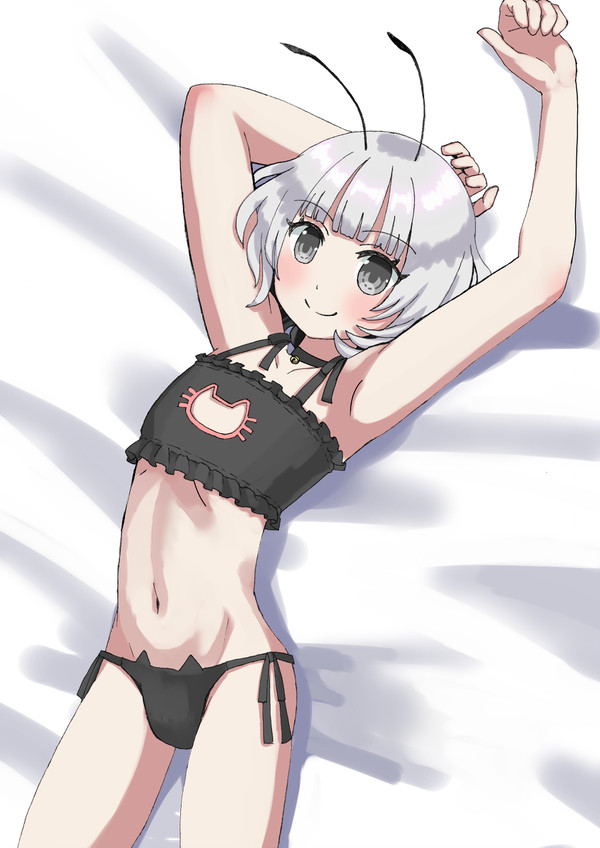 猫の日