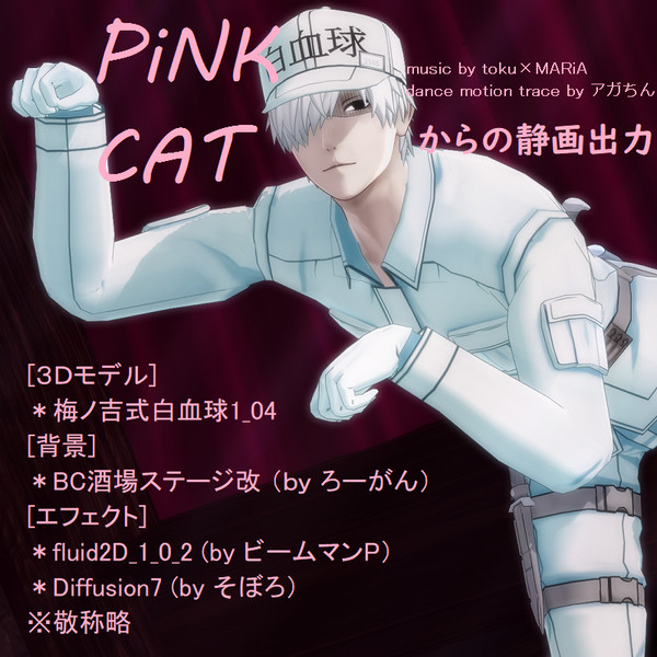 猫の日なので