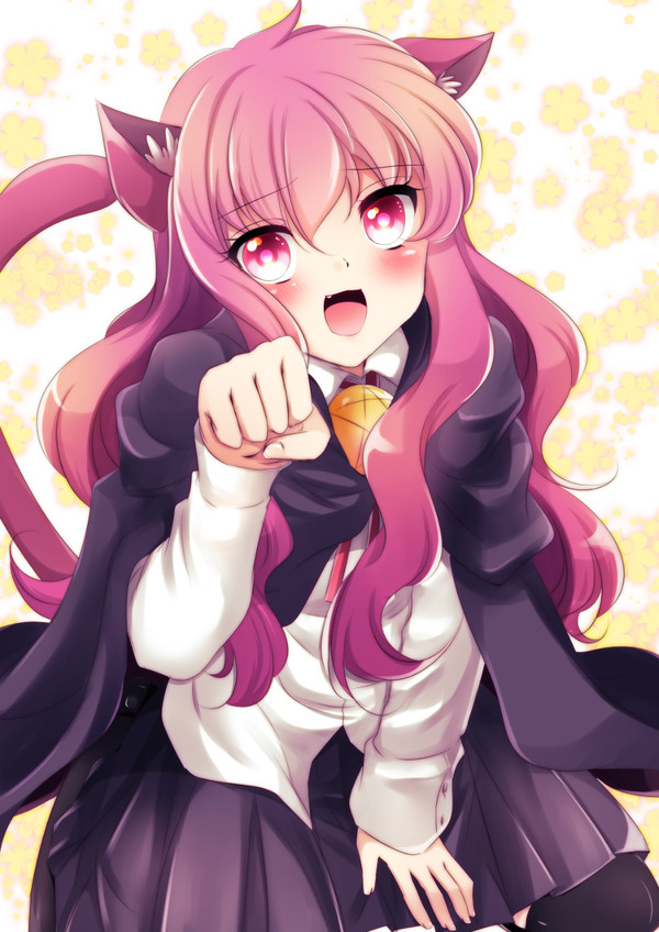 猫ルイズ