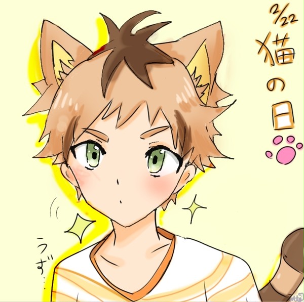 猫の日のトラ