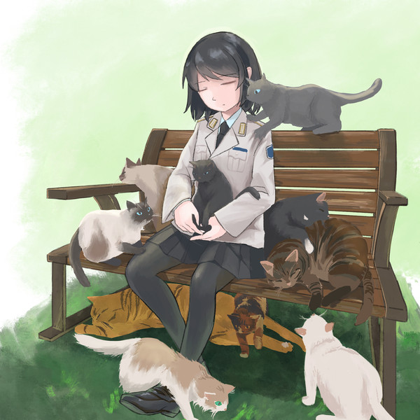 Siesta