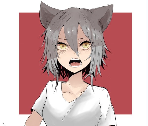 레드( 반팔티 )
