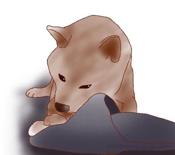 スリッパと戯れる犬
