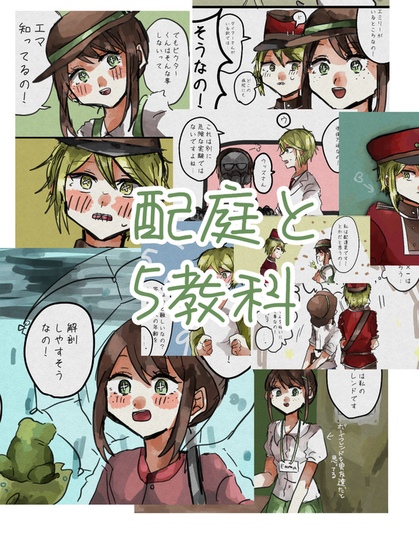 配庭と5教科