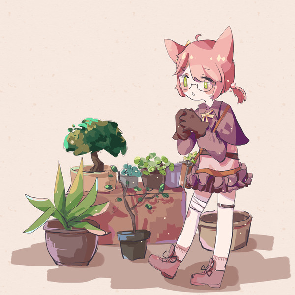 植物观察