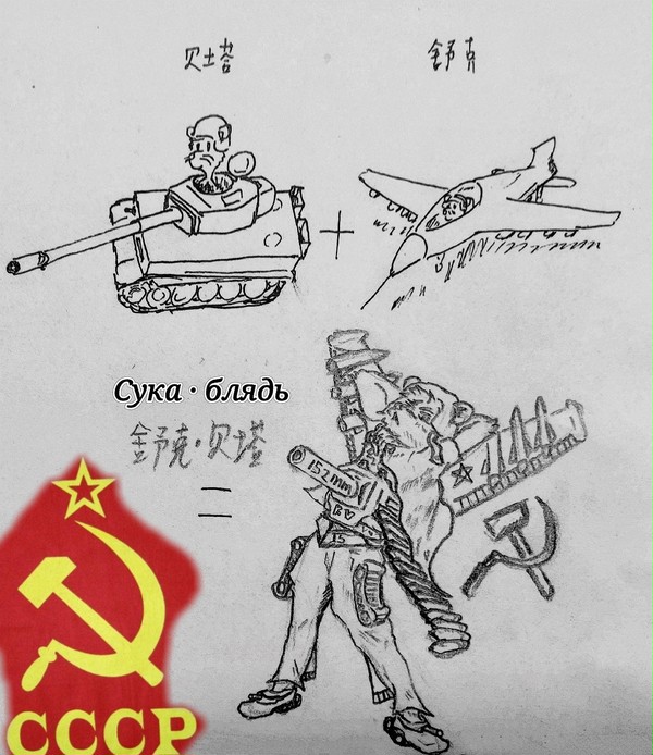 舒 克 与 贝 塔